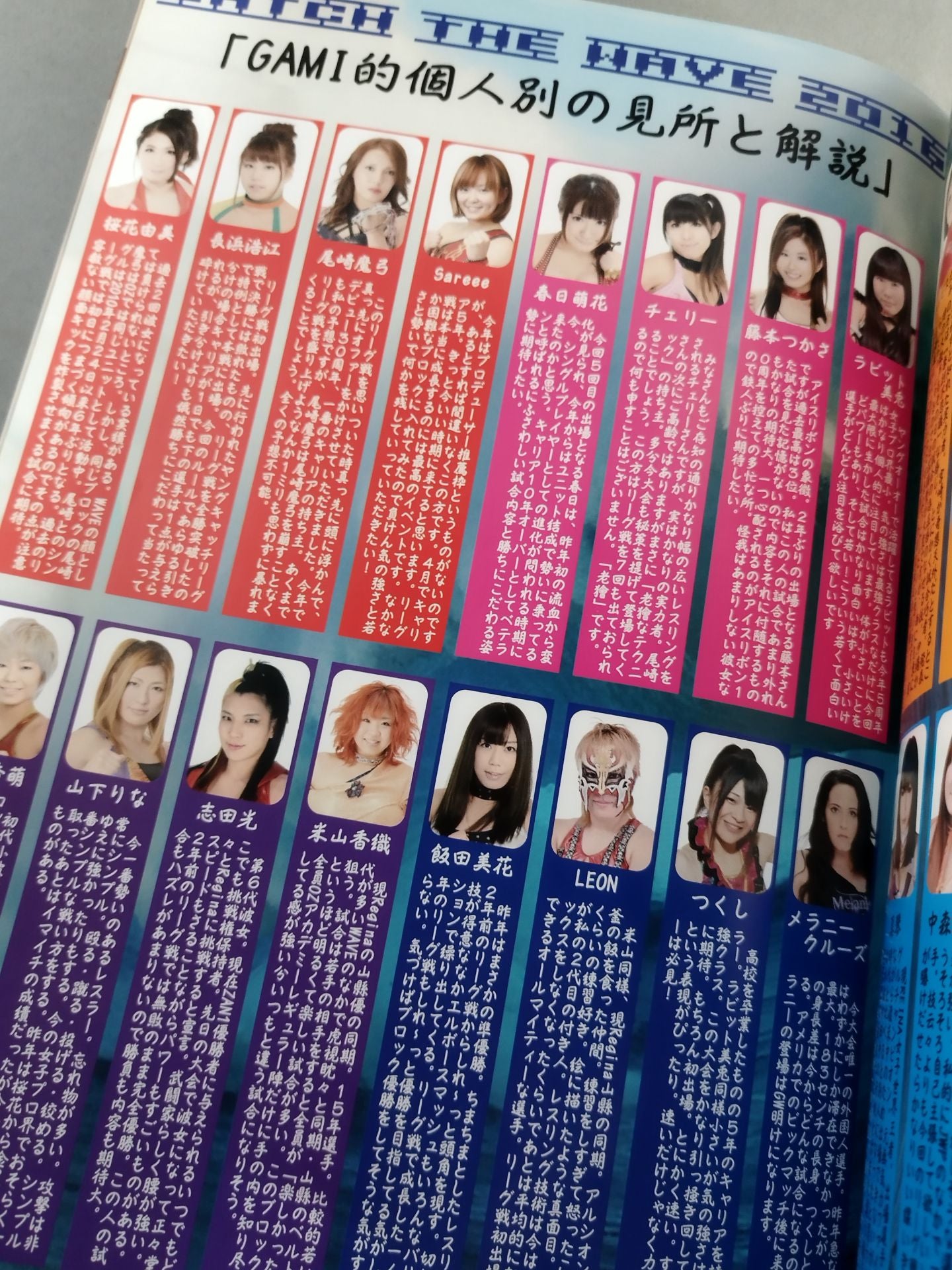 Pro-wrestling  WAVE Official Brochure vol.87
