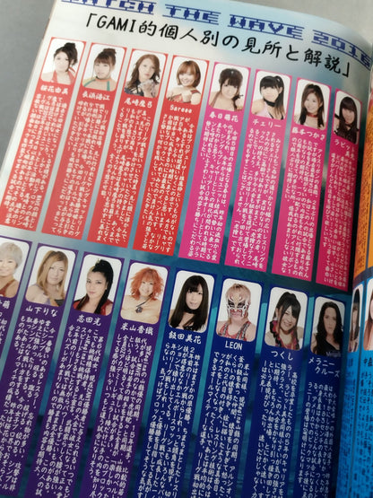 Pro-wrestling  WAVE Official Brochure vol.87