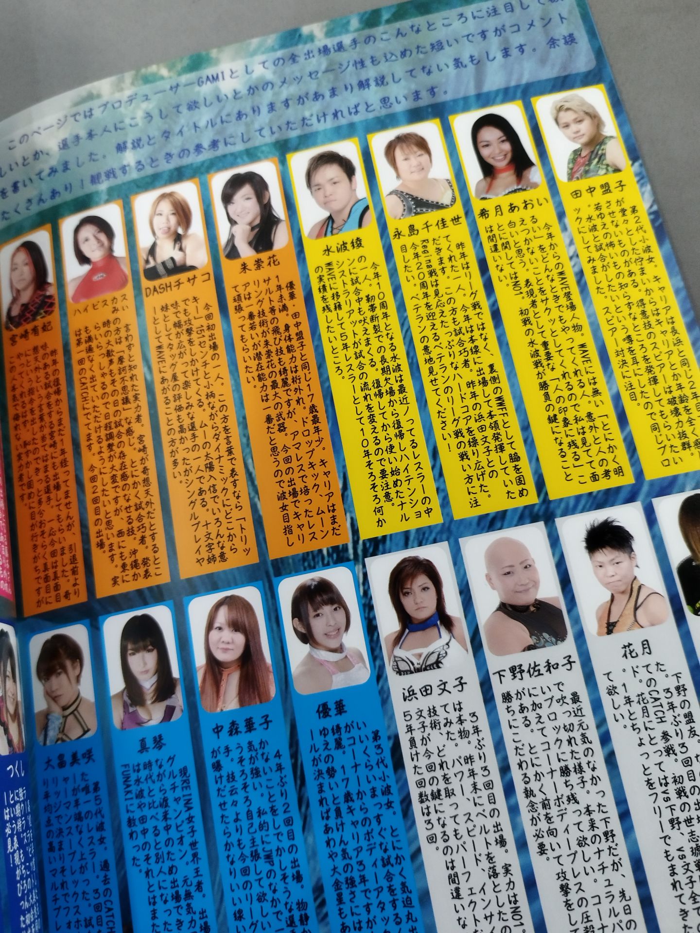 Pro-wrestling  WAVE Official Brochure vol.87