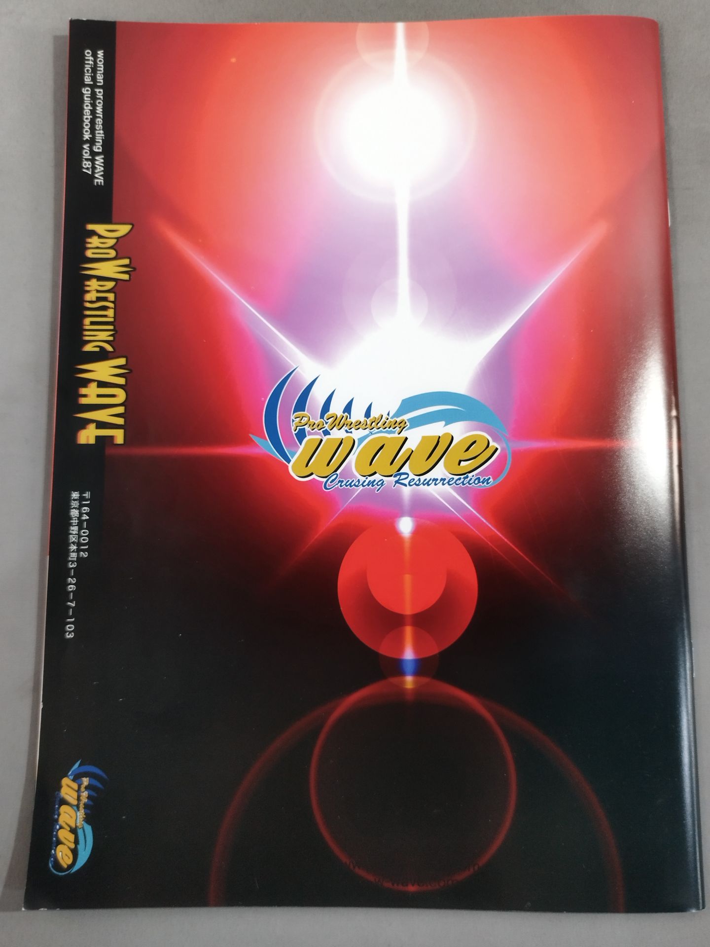 Pro-wrestling  WAVE Official Brochure vol.87
