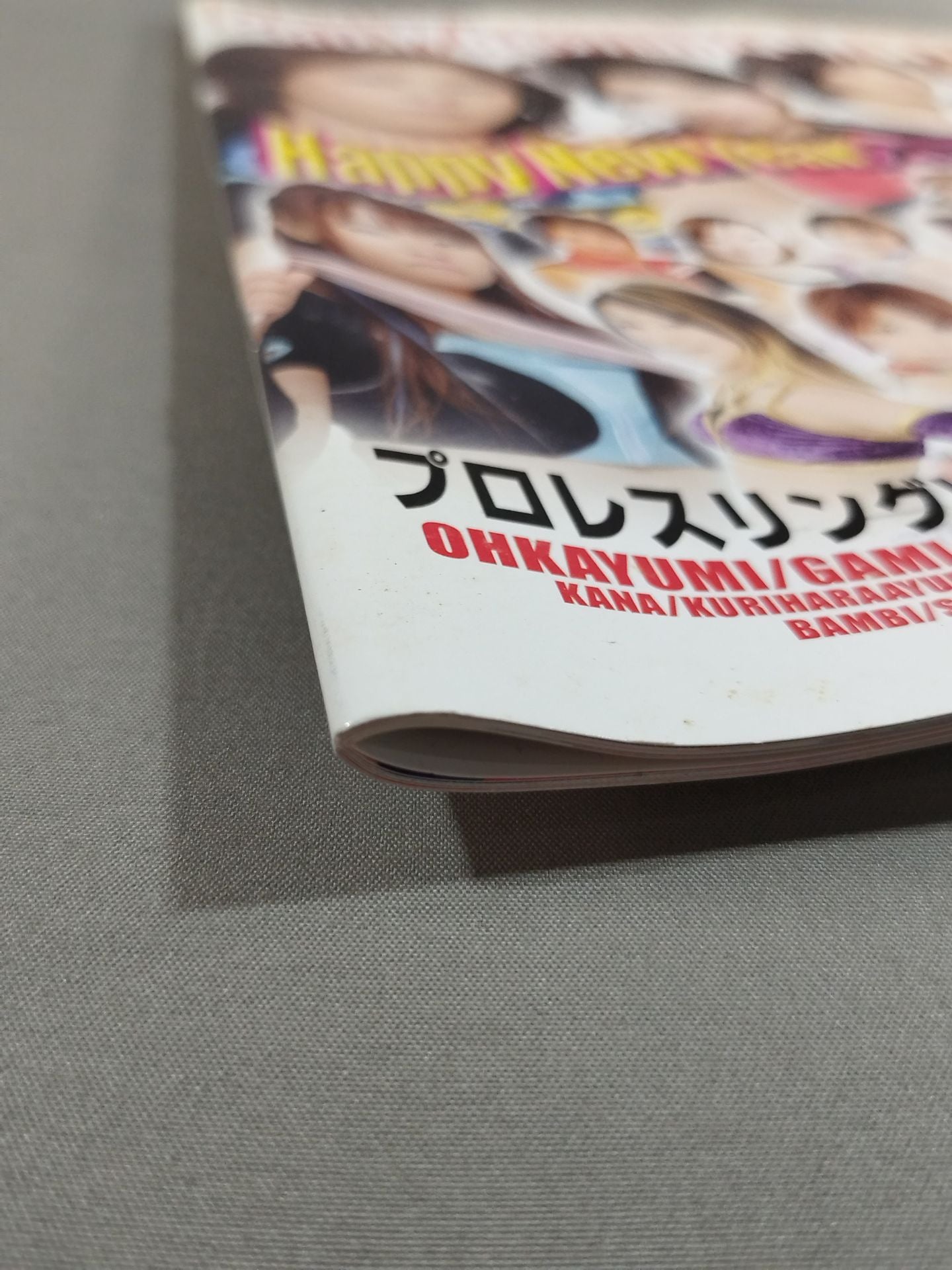 Pro-wrestling  WAVE Official Brochure vol.52