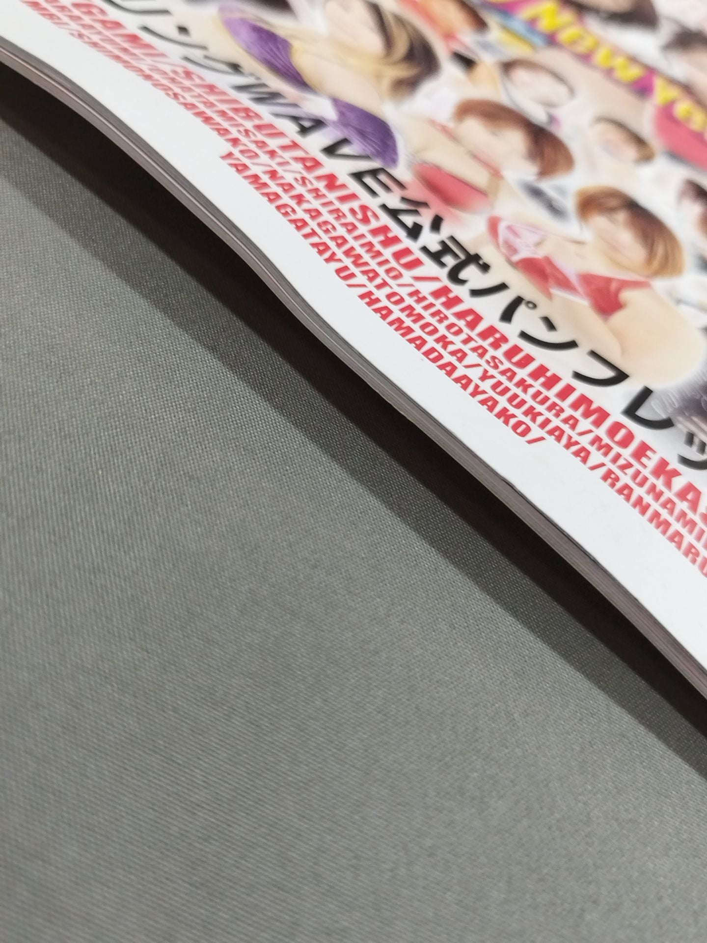 Pro-wrestling  WAVE Official Brochure vol.52