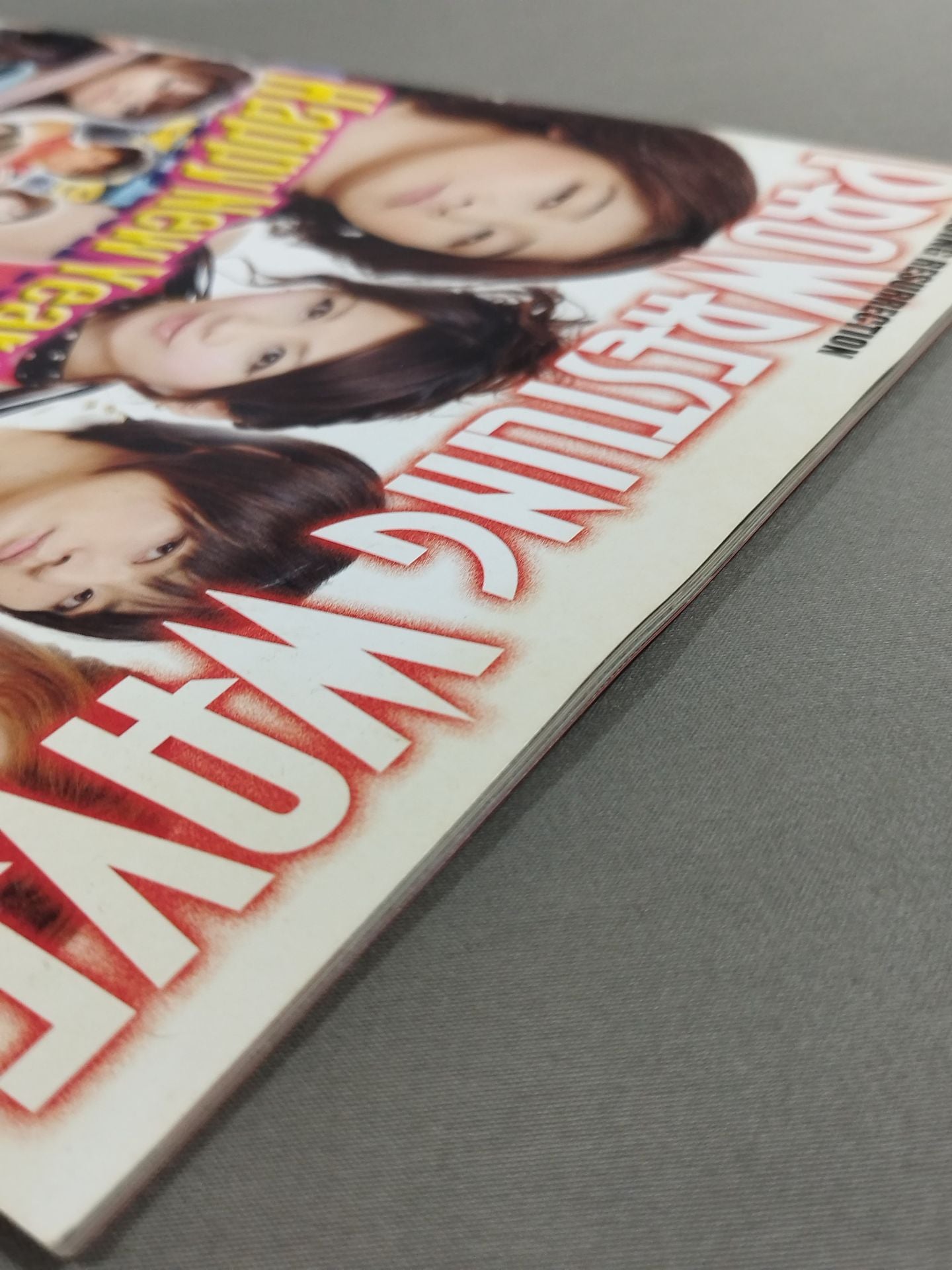 Pro-wrestling  WAVE Official Brochure vol.52