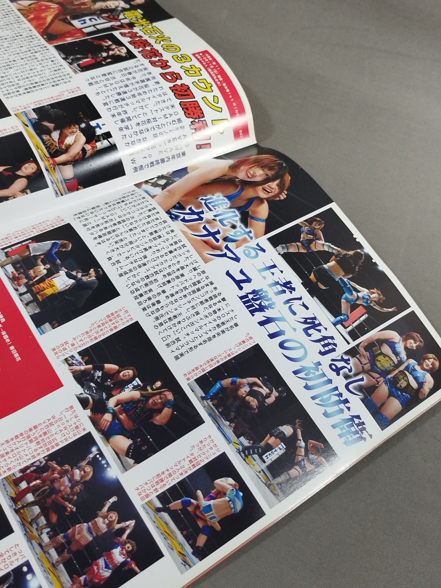 Pro-wrestling  WAVE Official Brochure vol.52