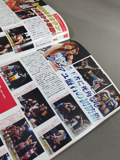 Pro-wrestling  WAVE Official Brochure vol.52