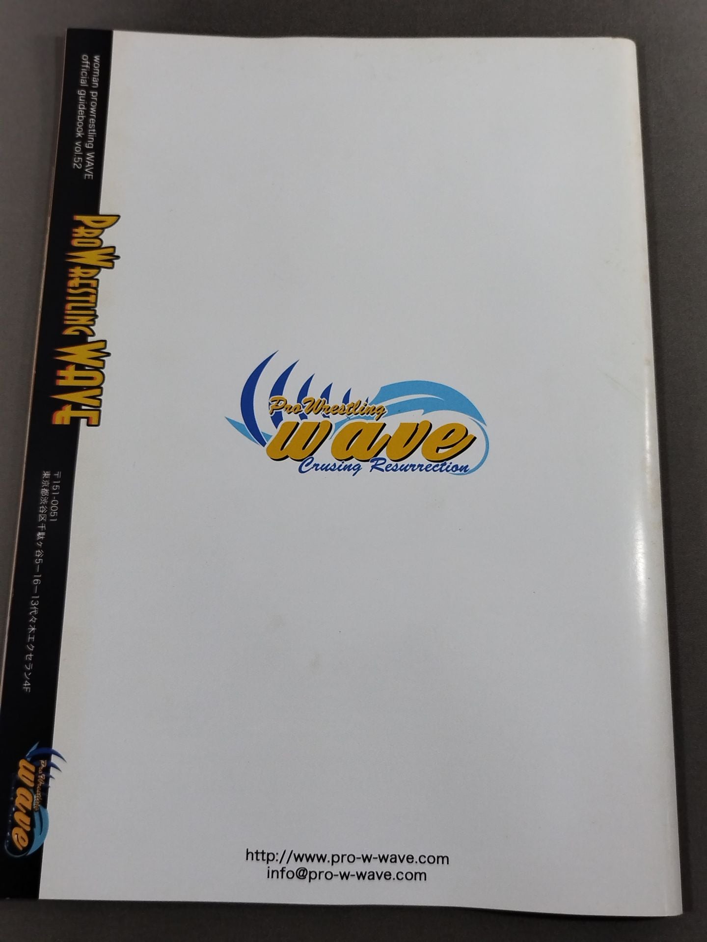 Pro-wrestling  WAVE Official Brochure vol.52