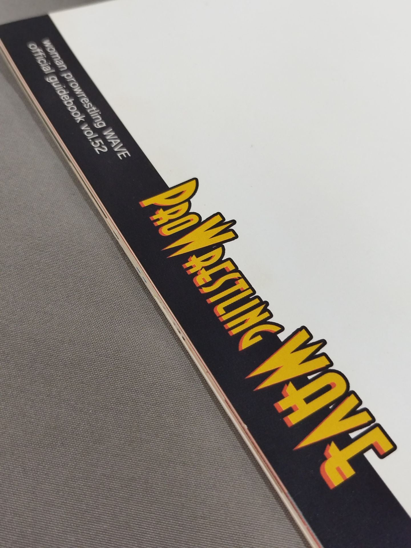Pro-wrestling  WAVE Official Brochure vol.52