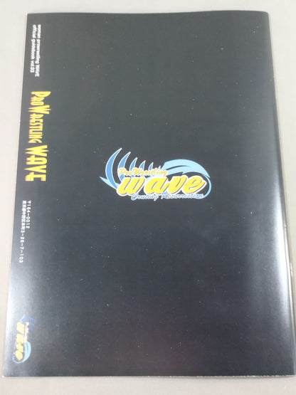 Pro-wrestling  WAVE Official Brochure vol.93