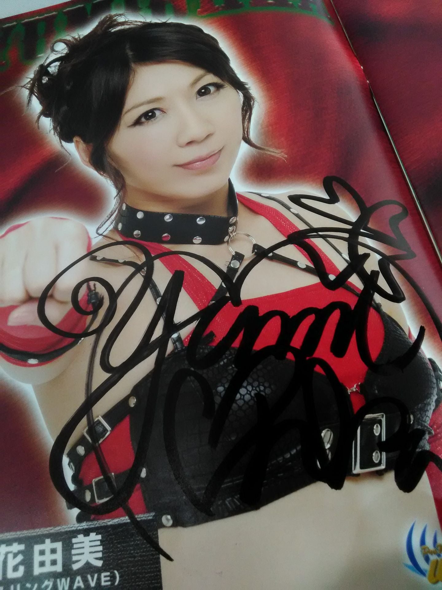 [5 fighters hand signed autograph Pro-wrestling  WAVE Official Pamphlet vol.51