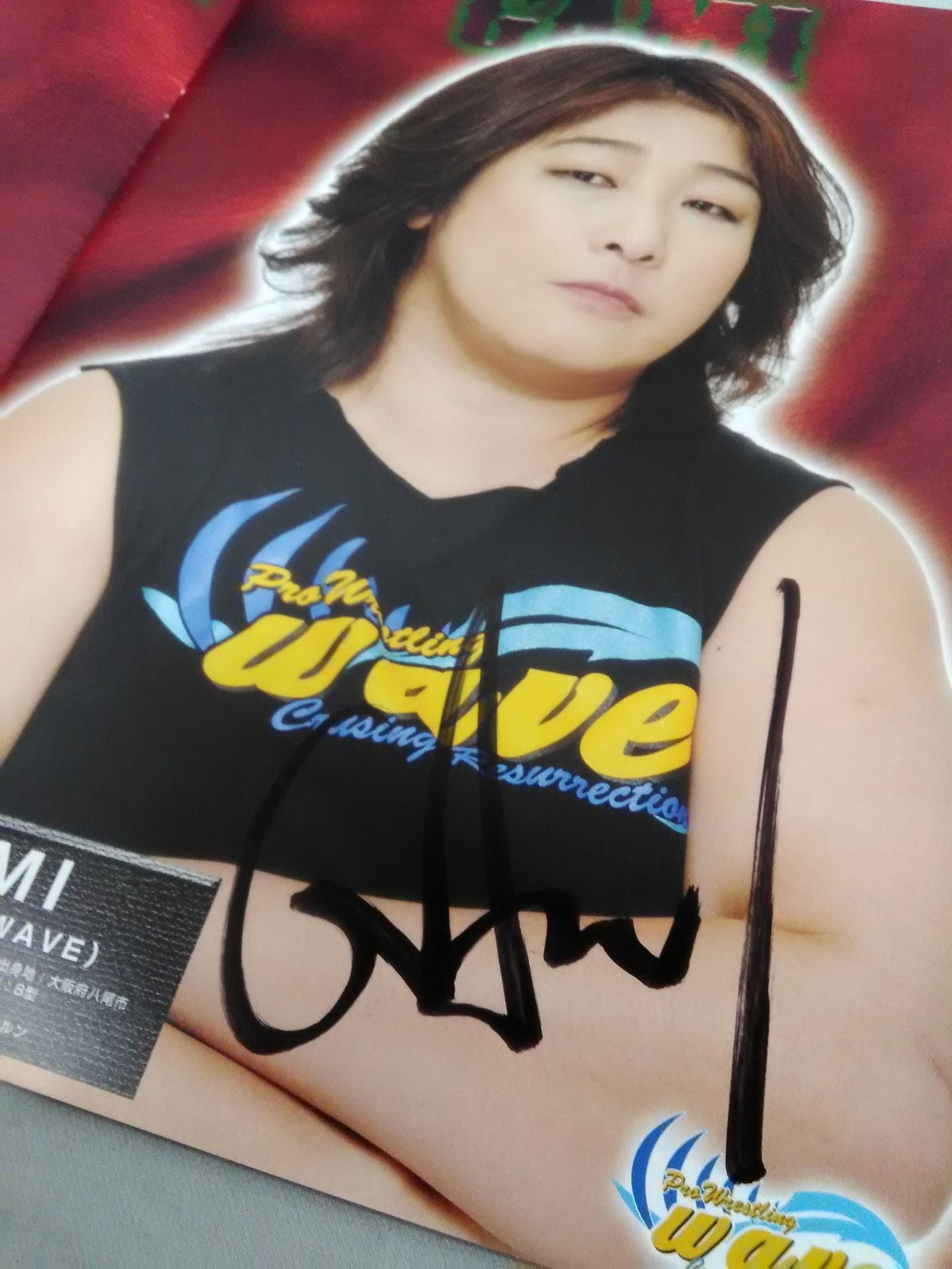 5選手直筆サイン入り】プロレスリングWAVE 公式パンフレット vol
