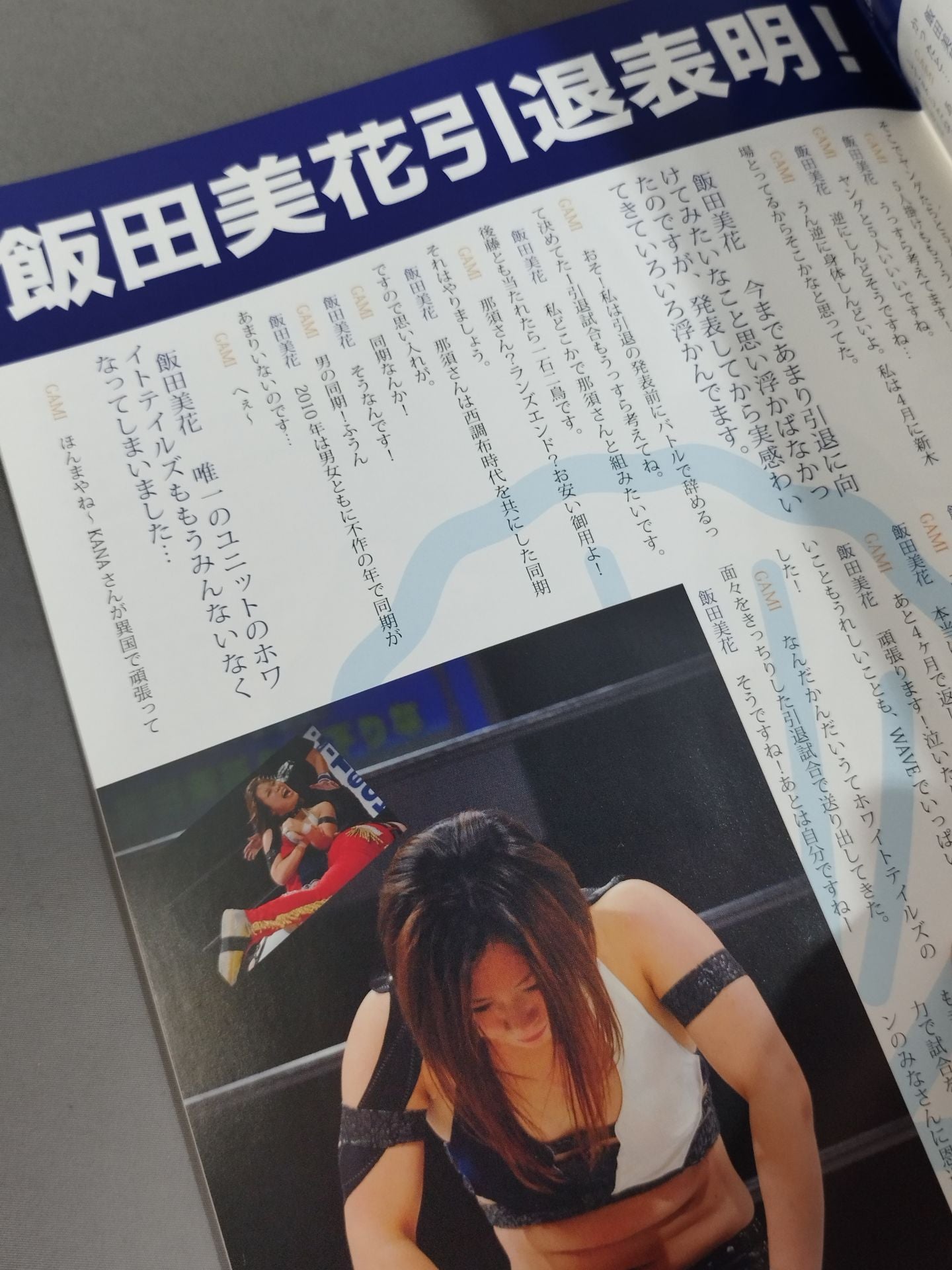 Pro-wrestling  WAVE Official Brochure vol.96