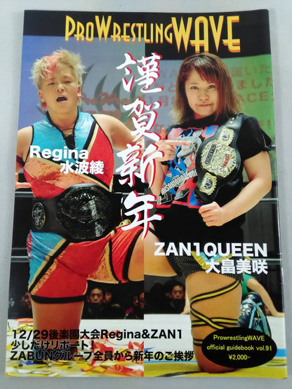 Pro-wrestling  WAVE Official Brochure vol.91