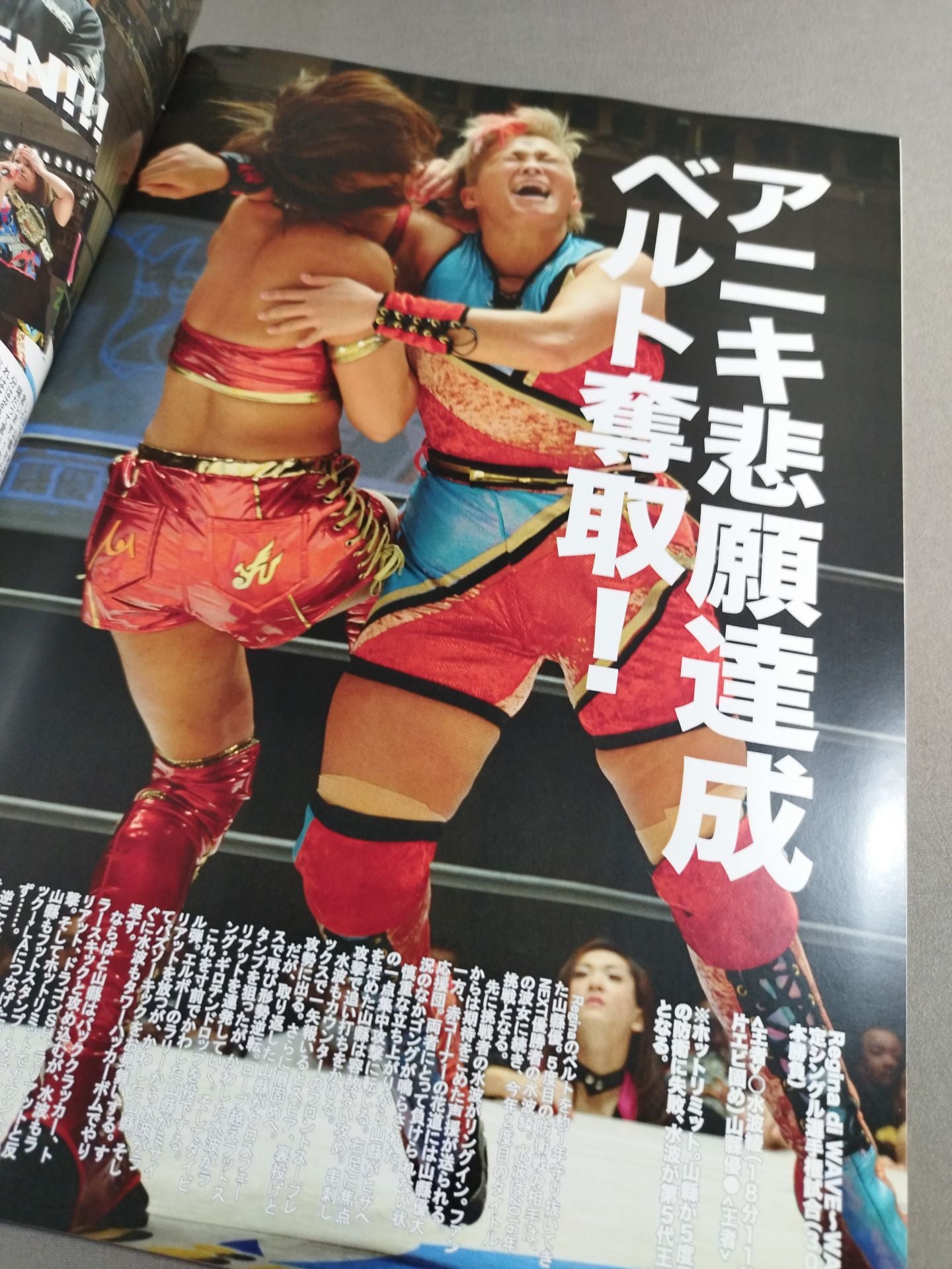 Pro-wrestling  WAVE Official Brochure vol.91
