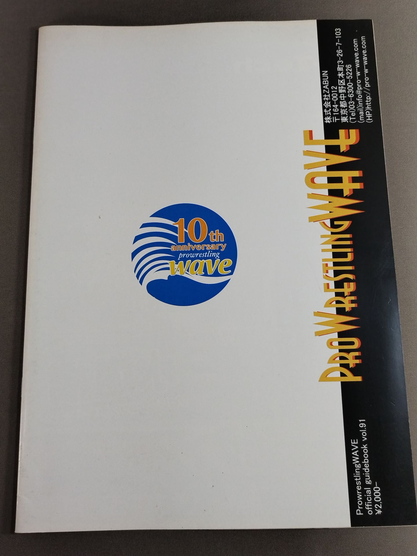 Pro-wrestling  WAVE Official Brochure vol.91