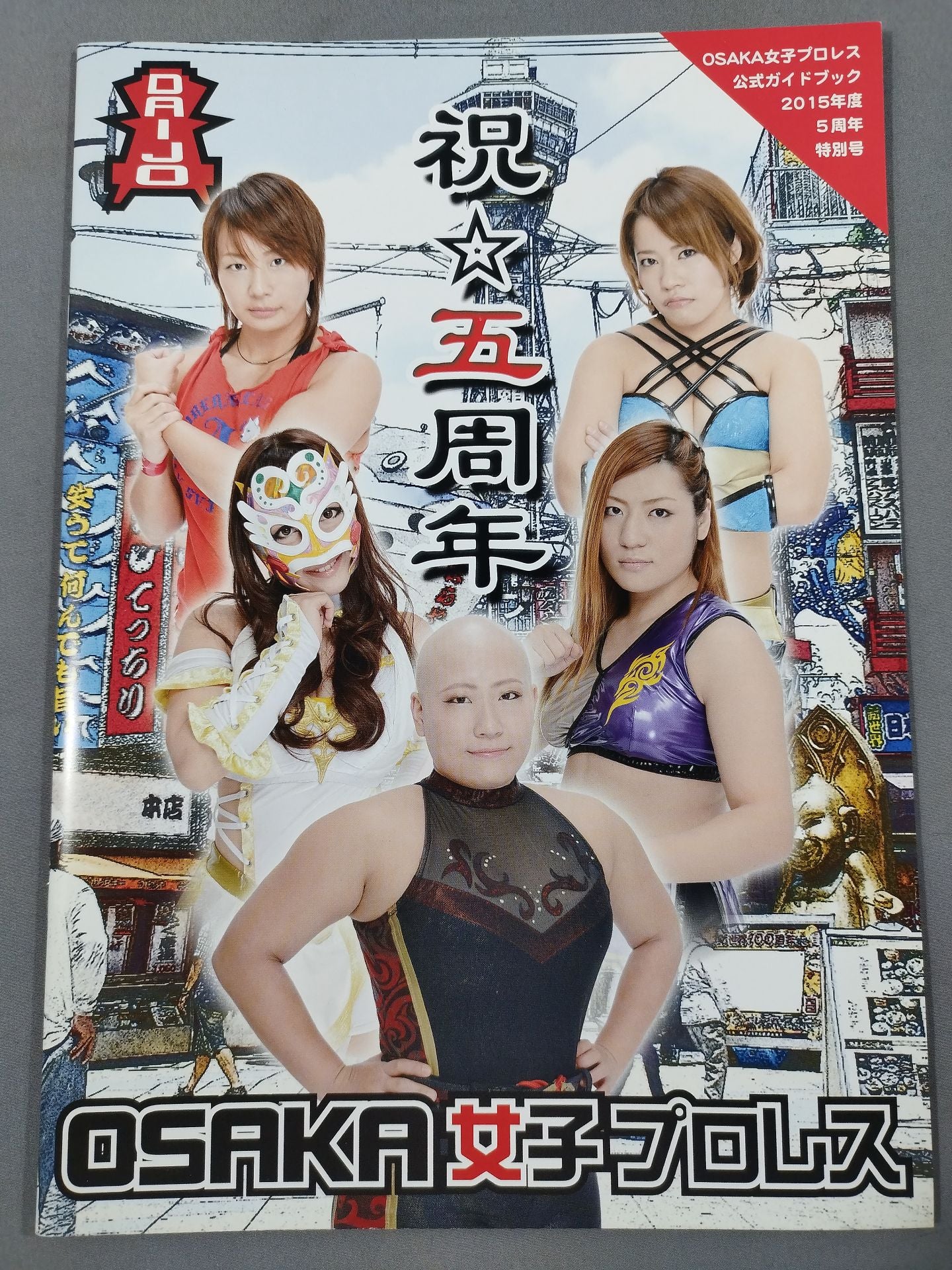 OSAKA Women's Pro Wrestling Official Guidebook 2015 5th Anniversary Special Edition