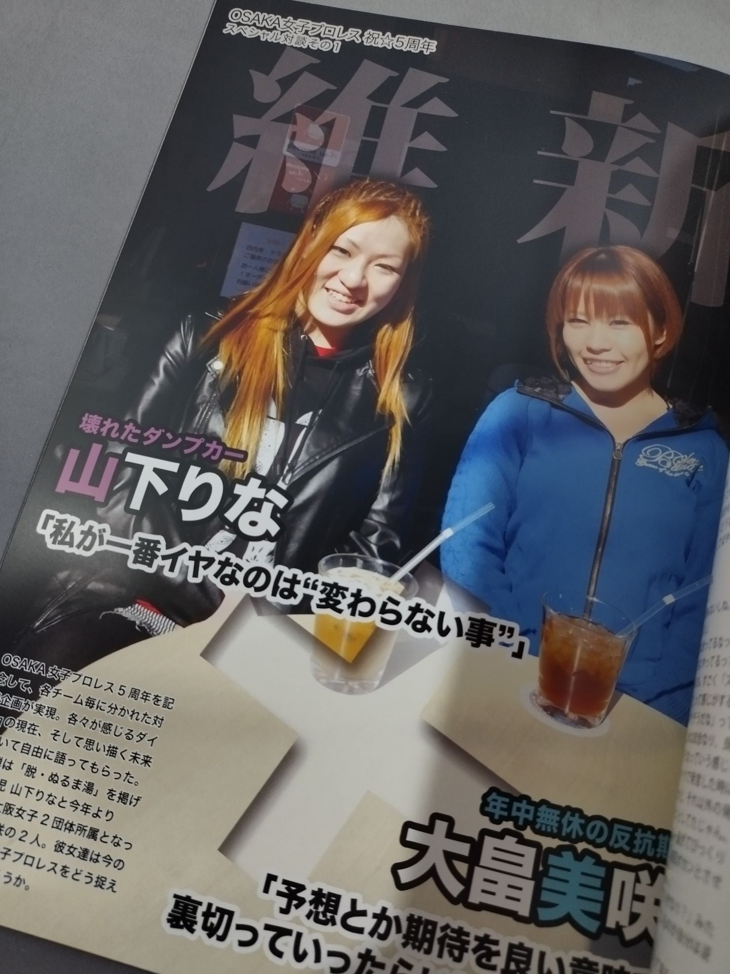 OSAKA Women's Pro Wrestling Official Guidebook 2015 5th Anniversary Special Edition