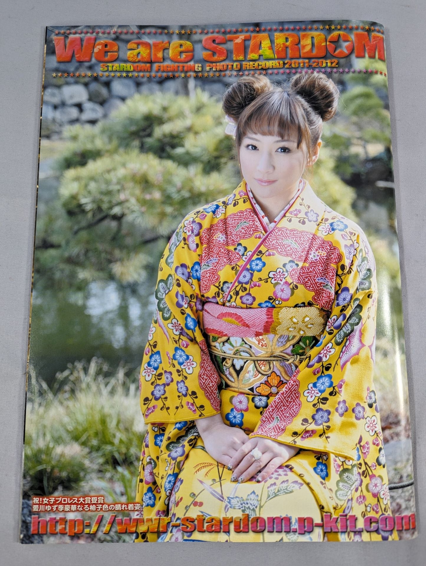 STARDOM OFFICIAL GUIDE BOOK Vol.10