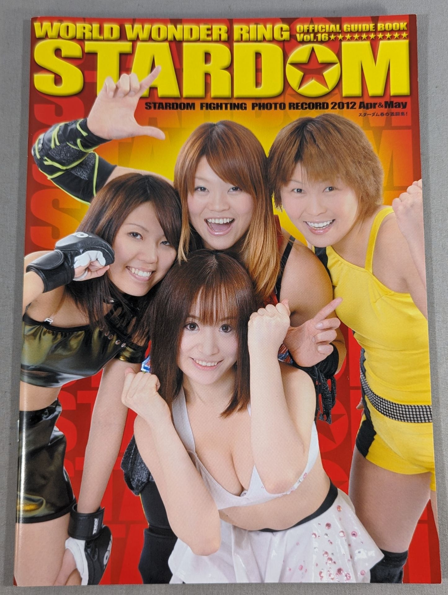 STARDOM OFFICIAL GUIDE BOOK Vol.16