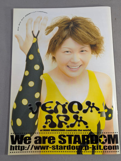 STARDOM OFFICIAL GUIDE BOOK Vol.17