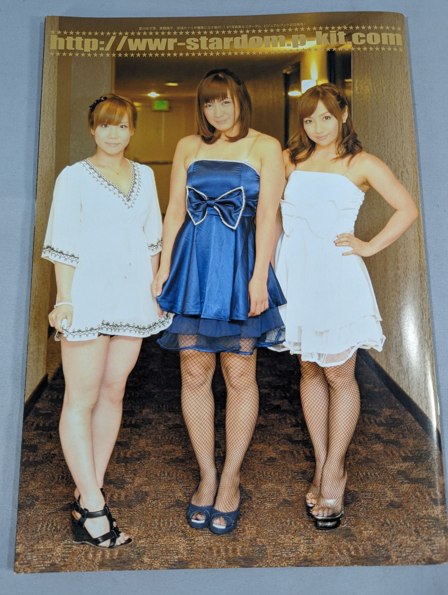 STARDOM OFFICIAL GUIDE BOOK Vol.18