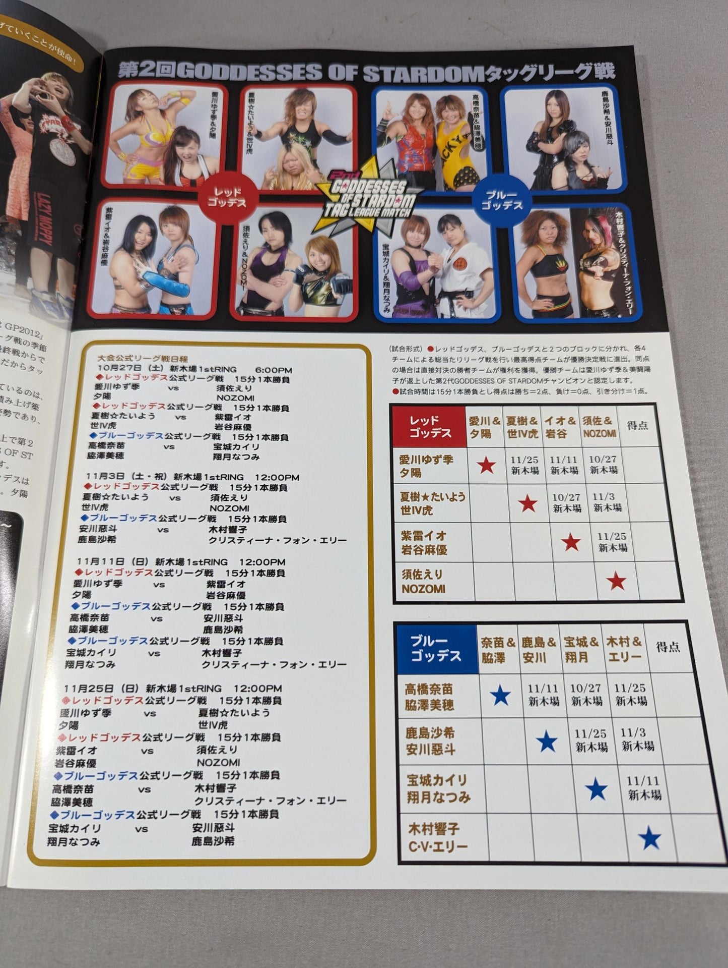 STARDOM OFFICIAL GUIDE BOOK Vol.23