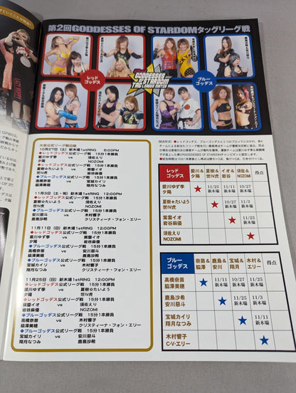 STARDOM OFFICIAL GUIDE BOOK Vol.23