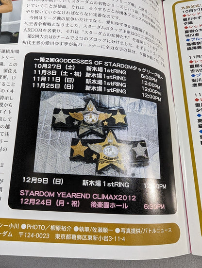 STARDOM OFFICIAL GUIDE BOOK Vol.23