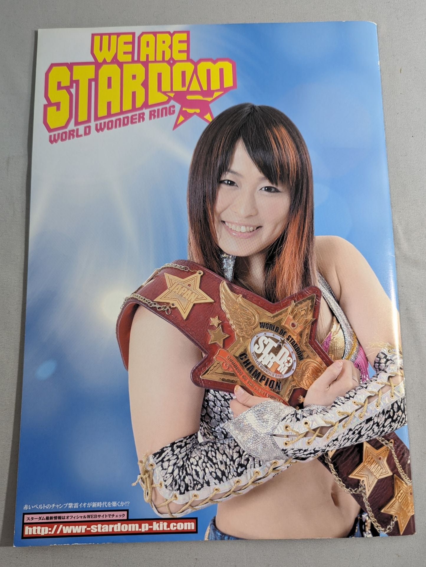 STARDOM OFFICIAL GUIDE BOOK Vol.35