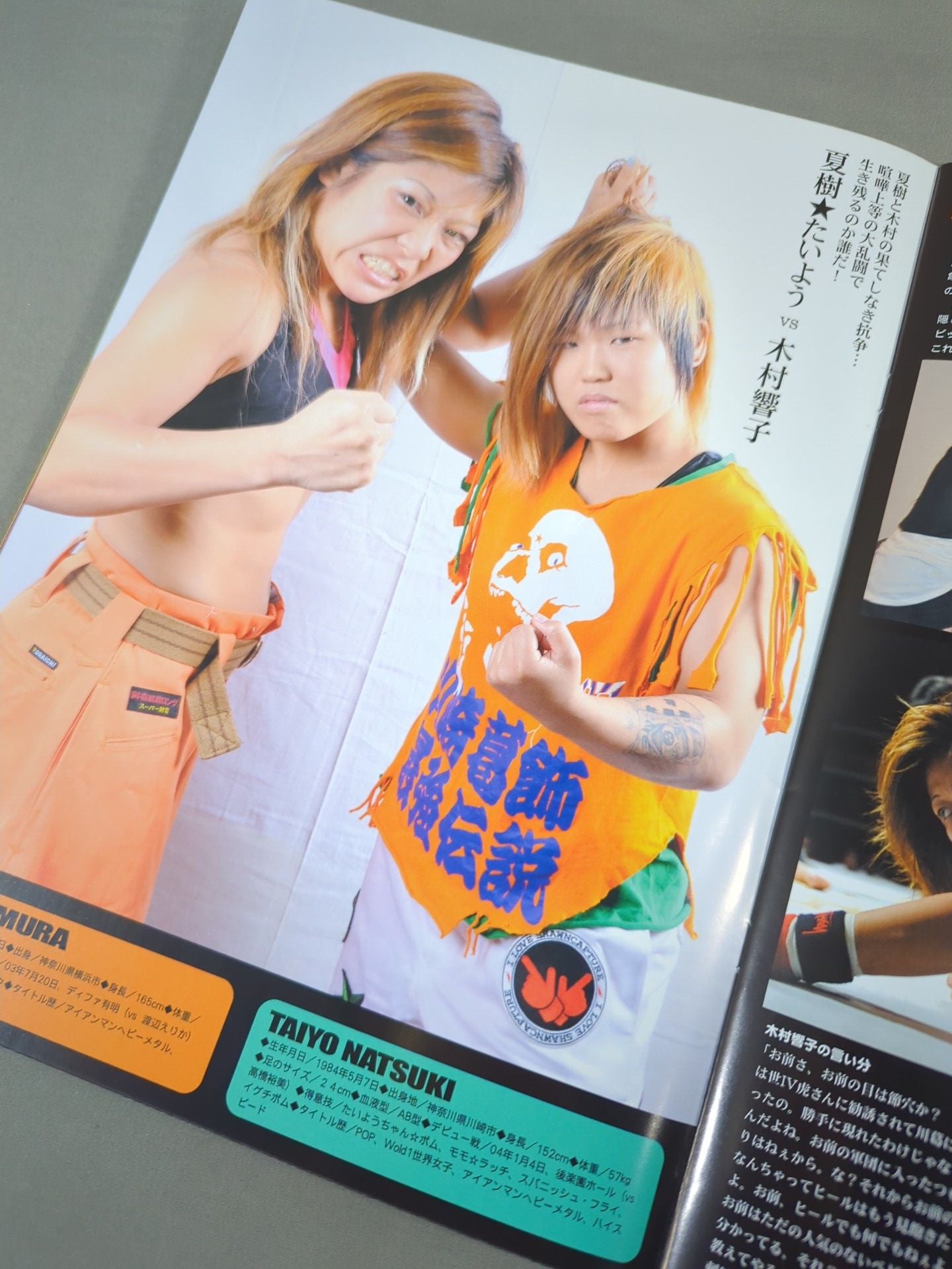 STARDOM OFFICIAL GUIDE BOOK Vol.19