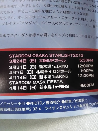 STARDOM OFFICIAL GUIDE BOOK Vol.28