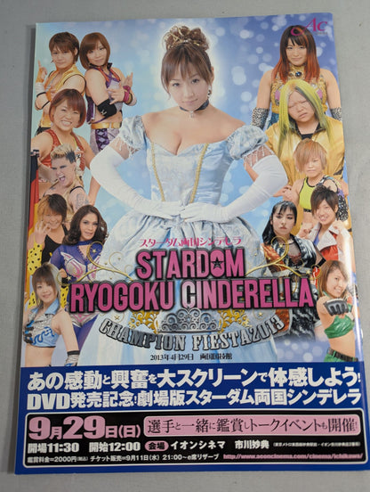 STARDOM OFFICIAL GUIDE BOOK Vol.37