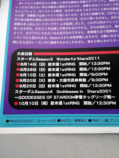 STARDOM OFFICIAL GUIDE BOOK Vol.6