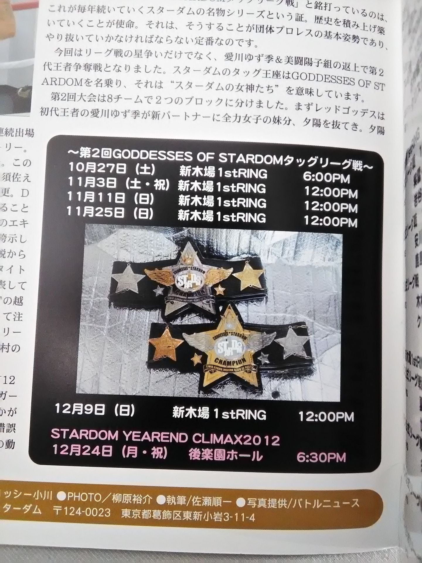 STARDOM OFFICIAL GUIDE BOOK Vol.23