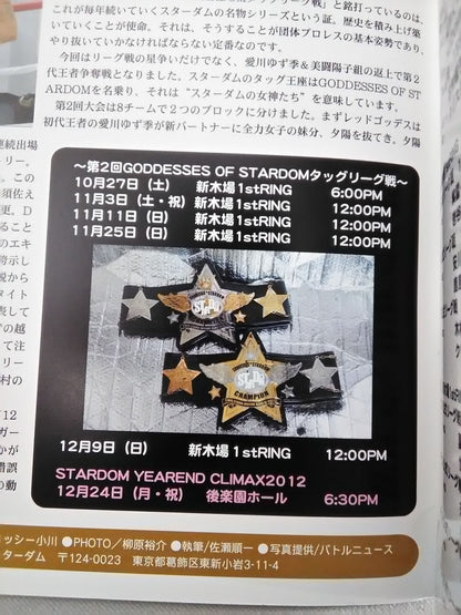 STARDOM OFFICIAL GUIDE BOOK Vol.23
