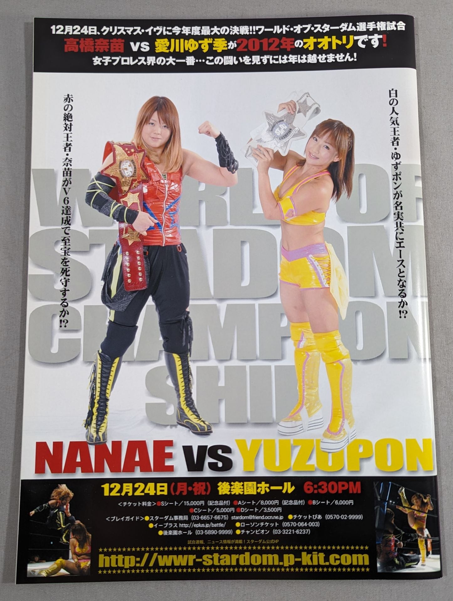 STARDOM OFFICIAL GUIDE BOOK Vol.23