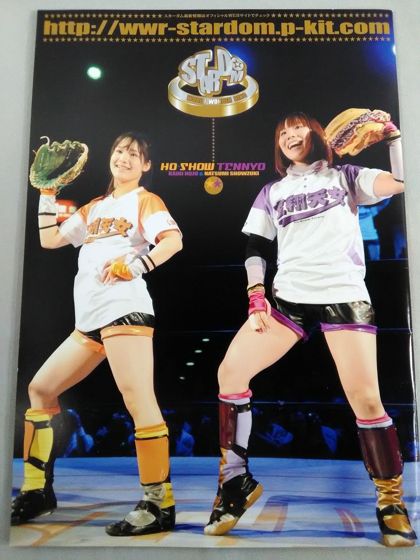 STARDOM OFFICIAL GUIDE BOOK Vol.29