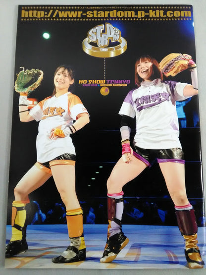 STARDOM OFFICIAL GUIDE BOOK Vol.29