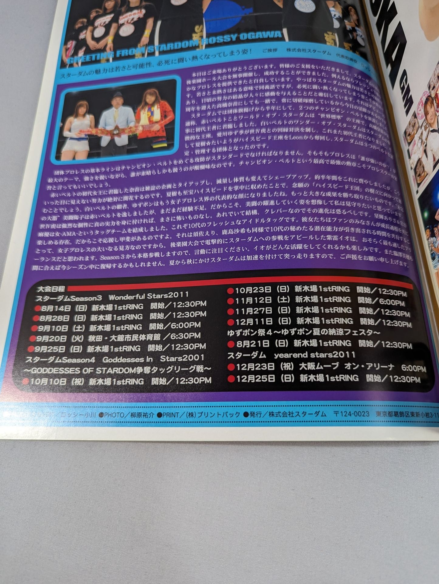 STARDOM OFFICIAL GUIDE BOOK Vol.6