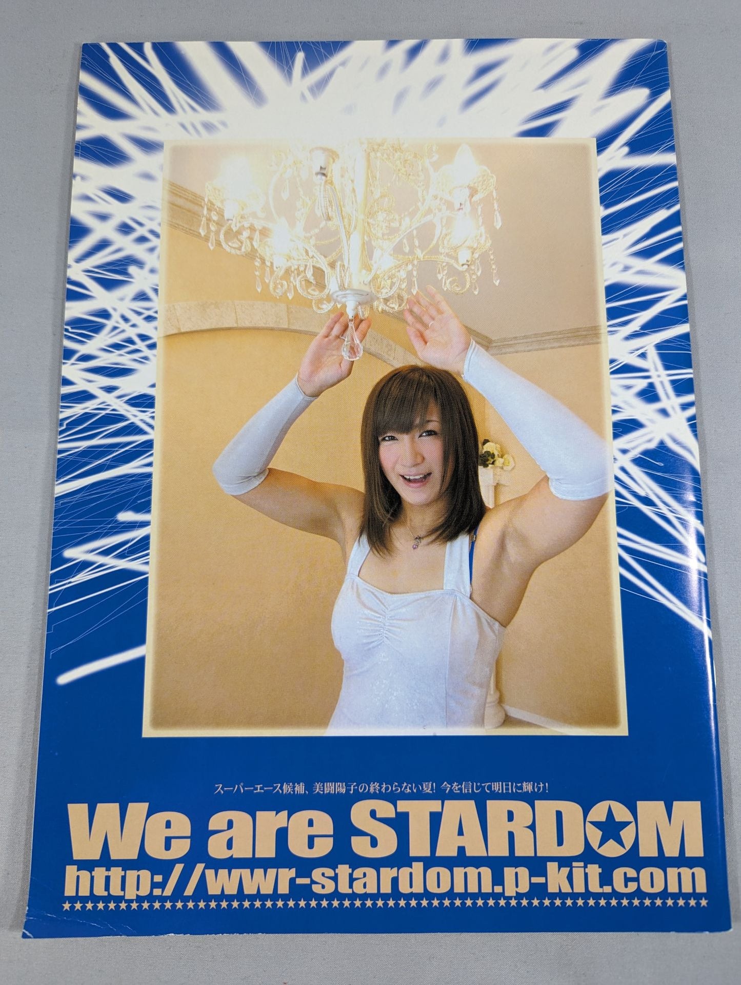 STARDOM OFFICIAL GUIDE BOOK Vol.6