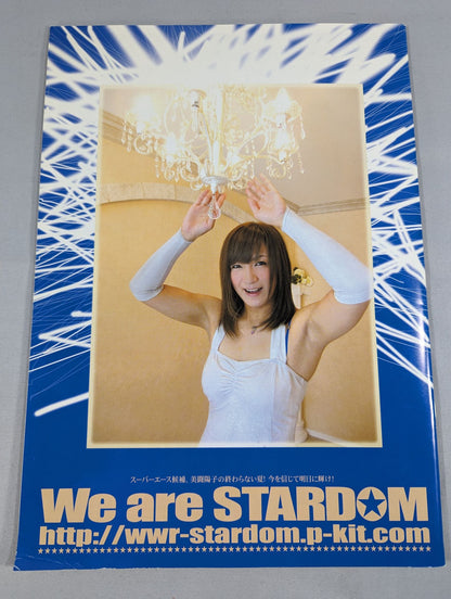 STARDOM OFFICIAL GUIDE BOOK Vol.6