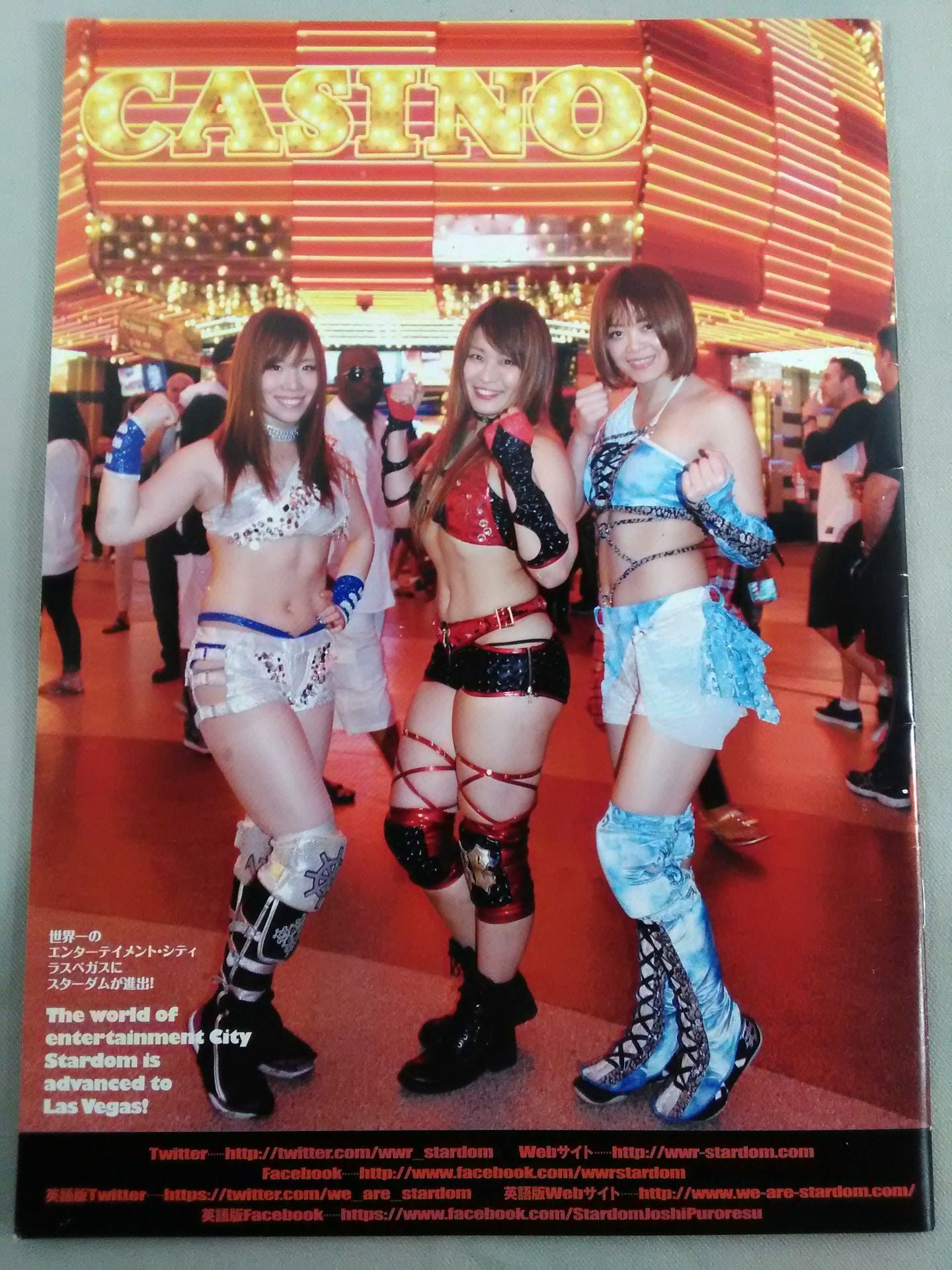 STARDOM OFFICIAL GUIDE BOOK Vol.76