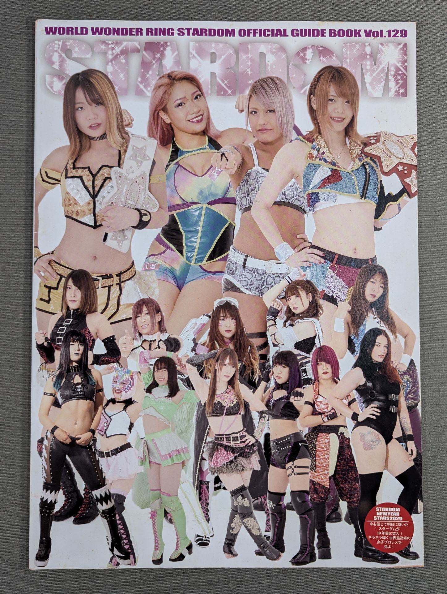 STARDOM OFFICIAL GUIDE BOOK Vol.129 – 闘道館