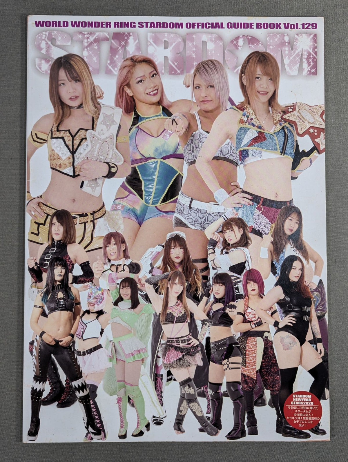 STARDOM OFFICIAL GUIDE BOOK Vol.129
