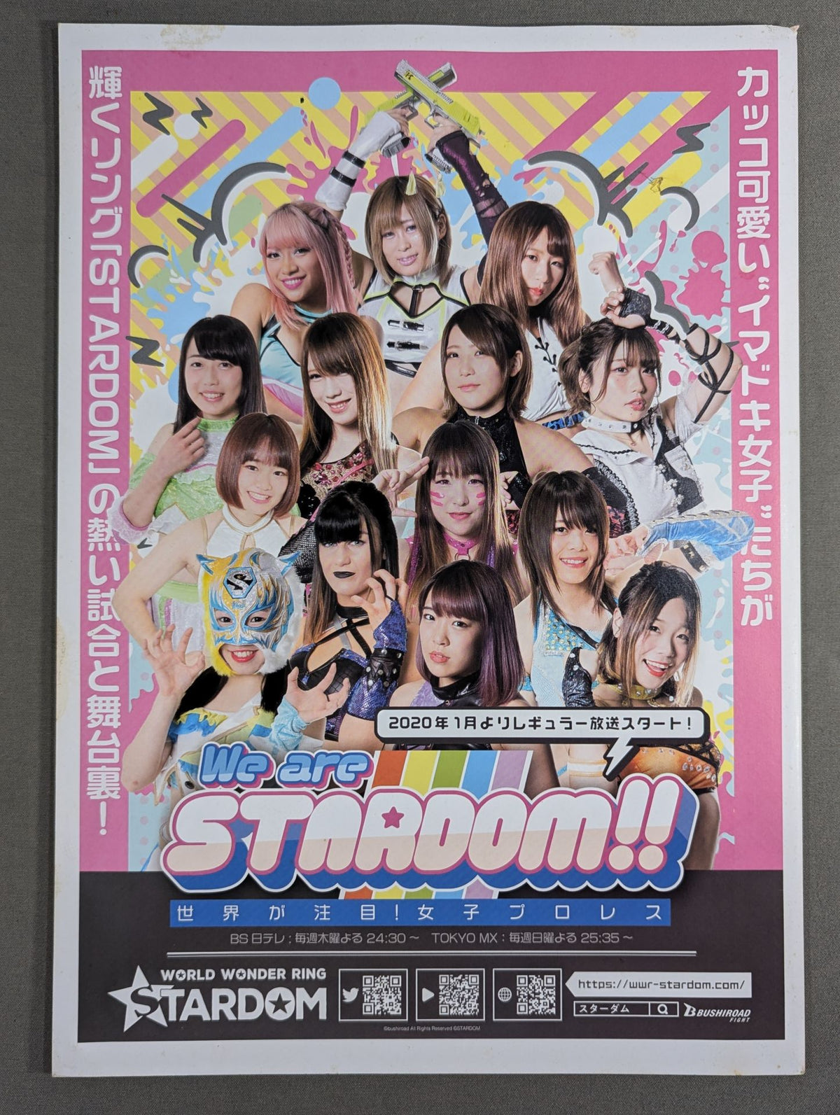 STARDOM OFFICIAL GUIDE BOOK Vol.129