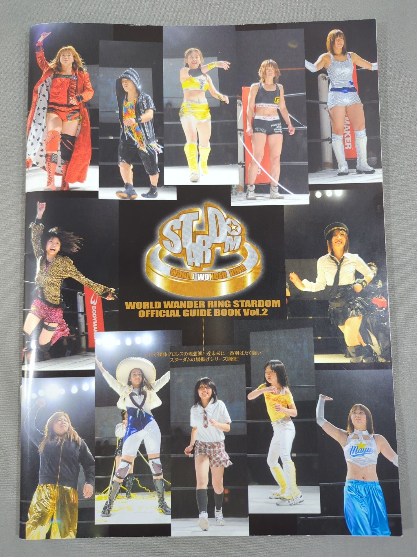 STARDOM OFFICIAL GUIDE BOOK Vol.2
