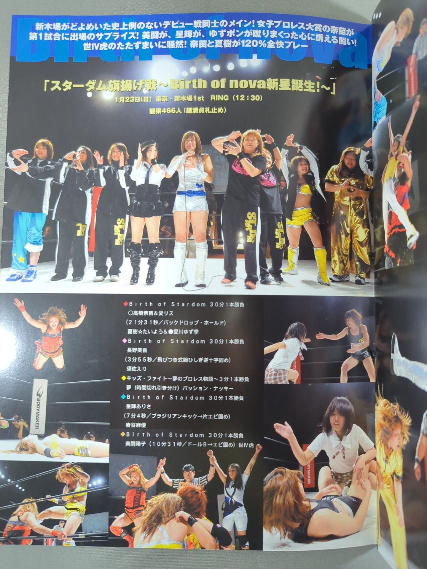 STARDOM OFFICIAL GUIDE BOOK Vol.2