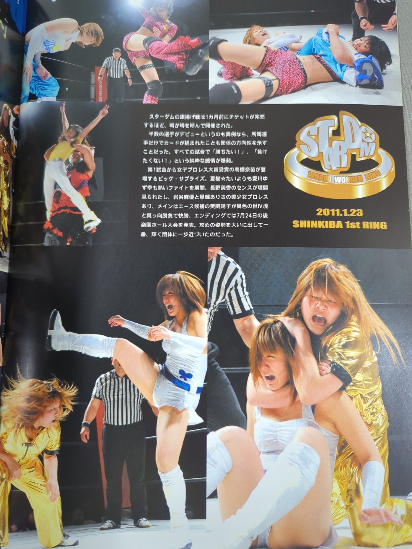 STARDOM OFFICIAL GUIDE BOOK Vol.2