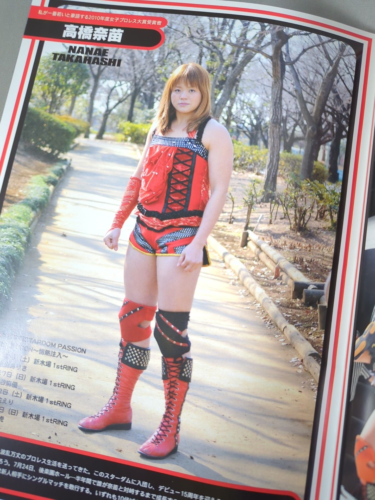STARDOM OFFICIAL GUIDE BOOK Vol.2