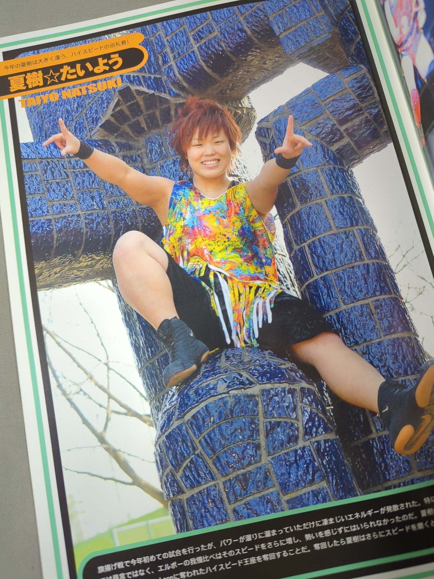 STARDOM OFFICIAL GUIDE BOOK Vol.2