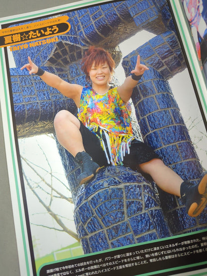 STARDOM OFFICIAL GUIDE BOOK Vol.2